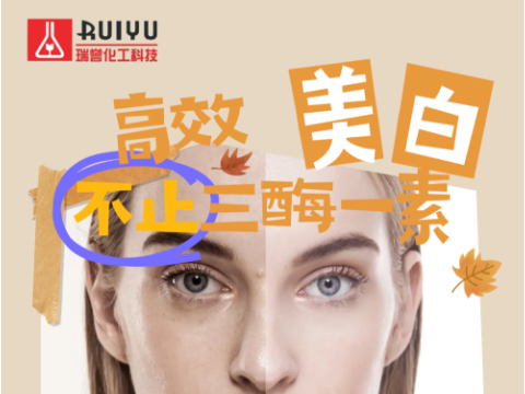 美白——公司网站版首图
